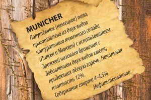 Beerstown Municher 1